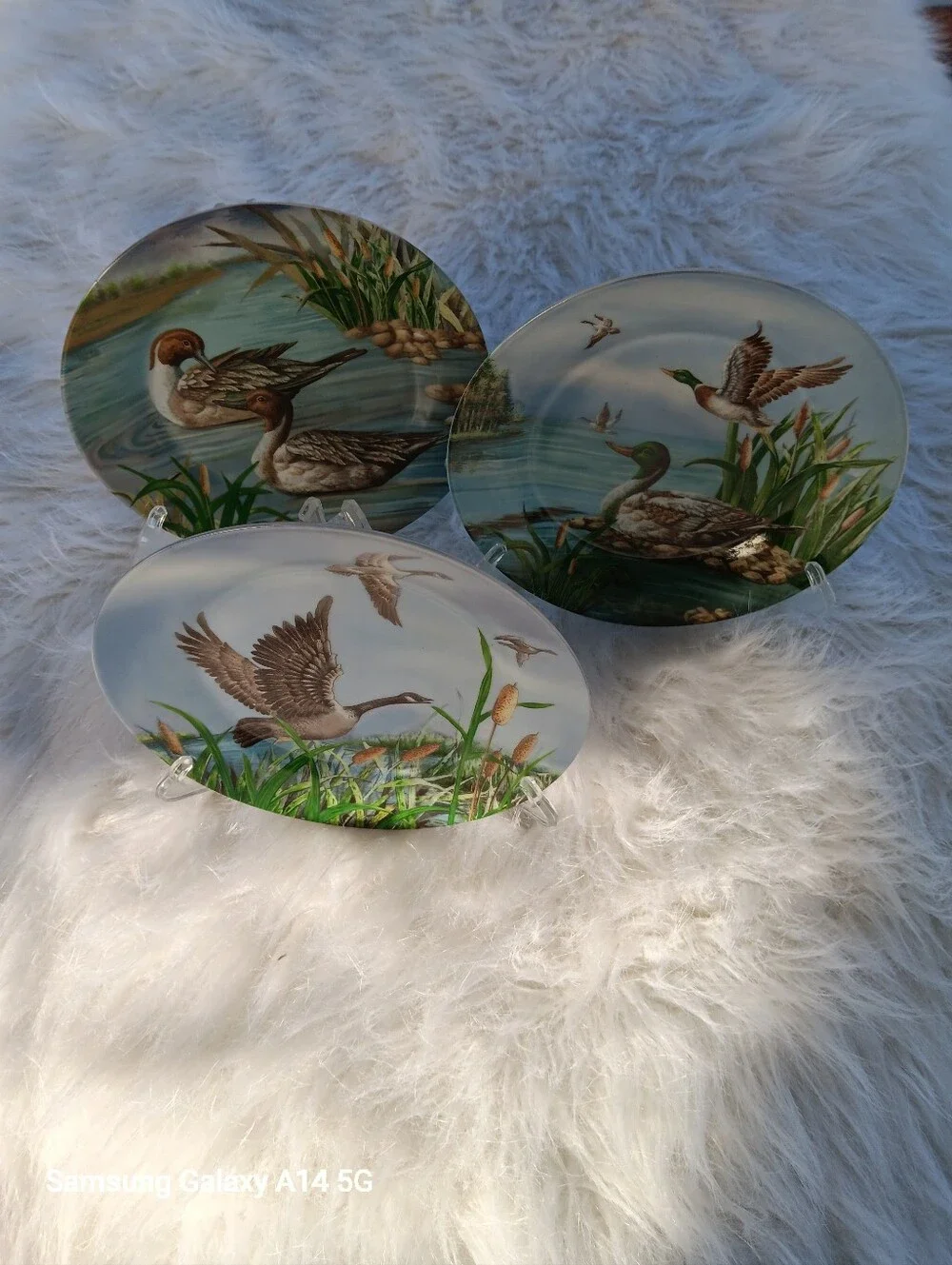 Three Decorative Duck Plates